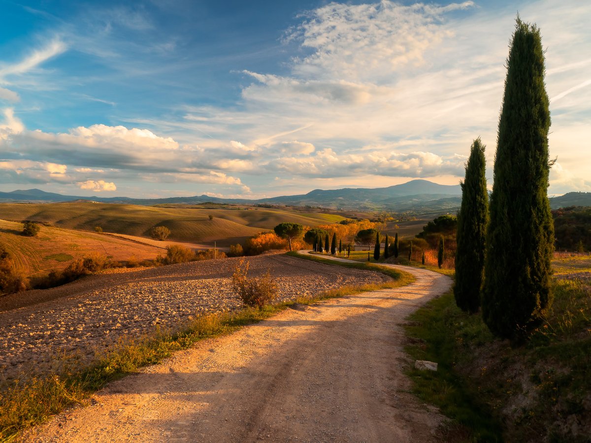 Goldene Hügel und Zypressen im Val d'Orcia im Herbst