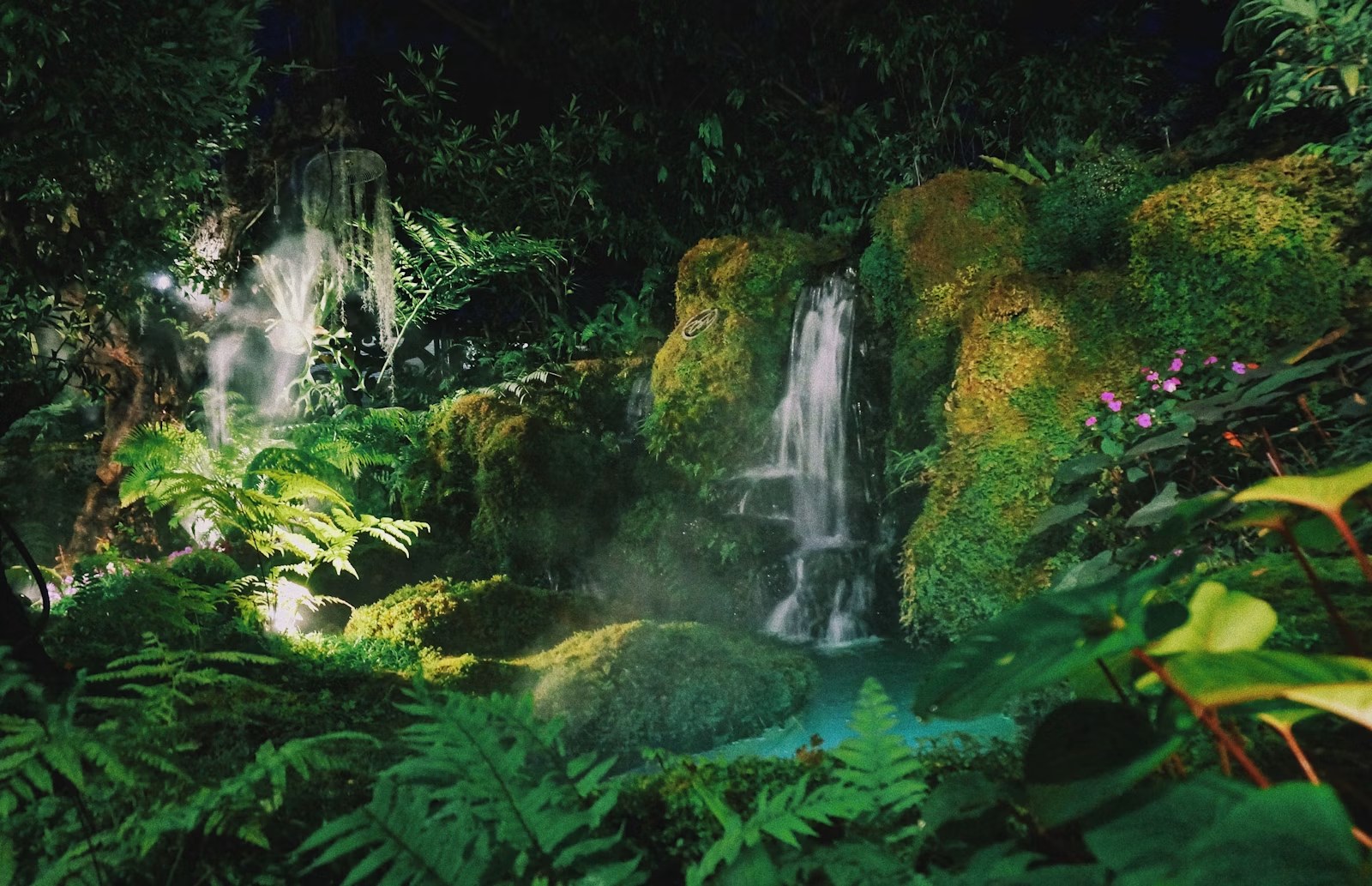 Amazonas-Regenwald in Brasilien