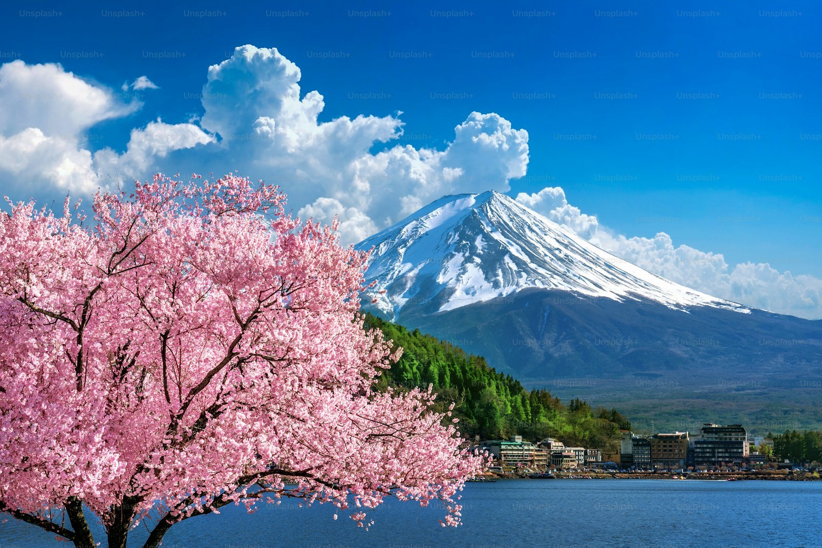Fujisan in Japan