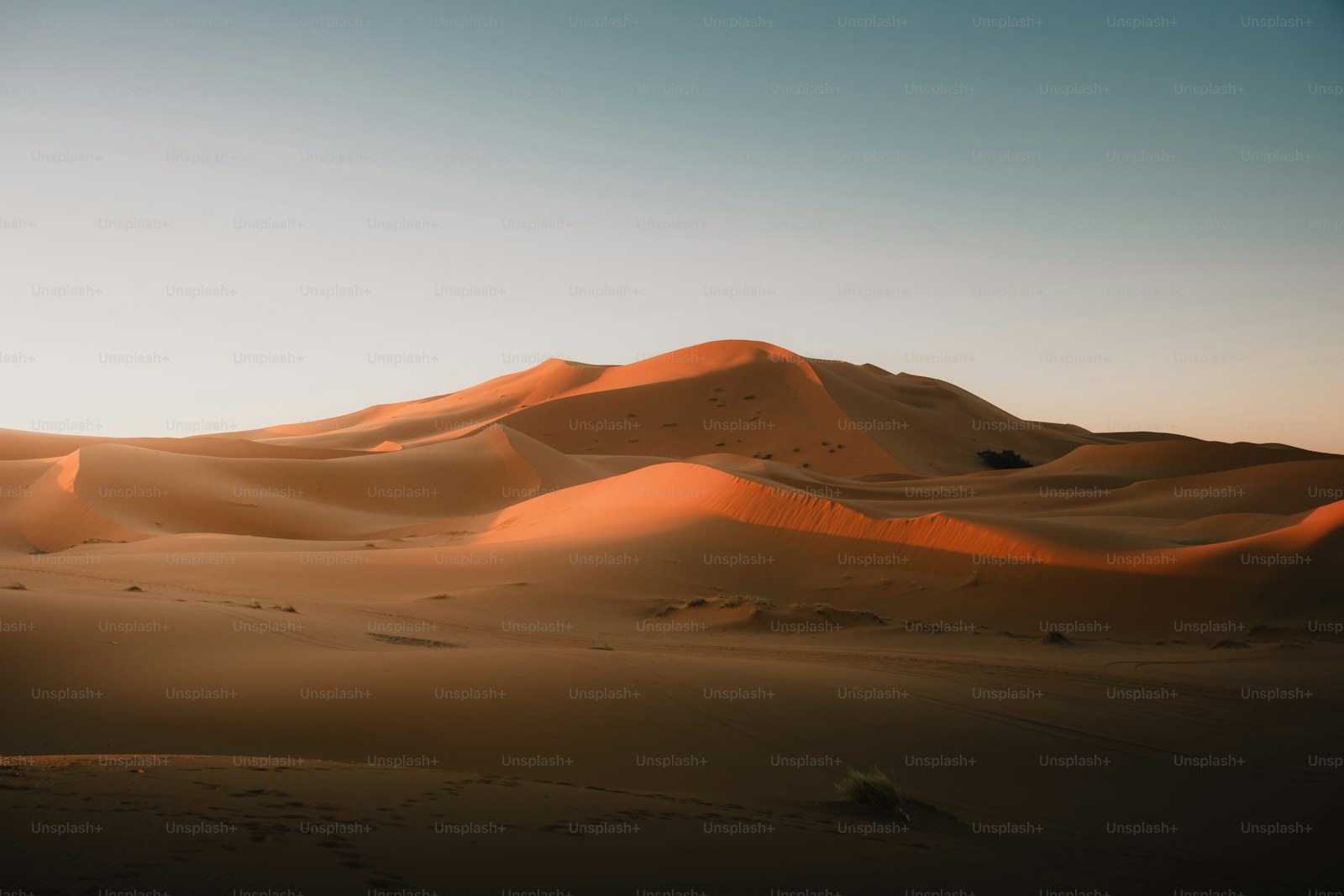 Gobi Wüste in Mongolei