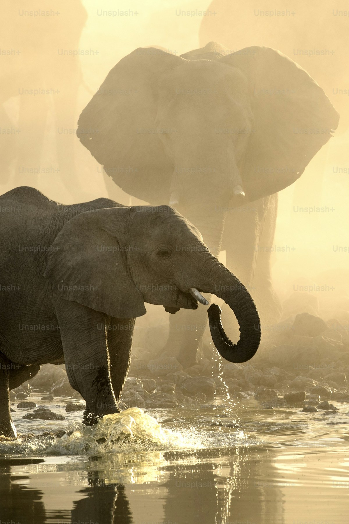 Kruger-Nationalpark in Südafrika