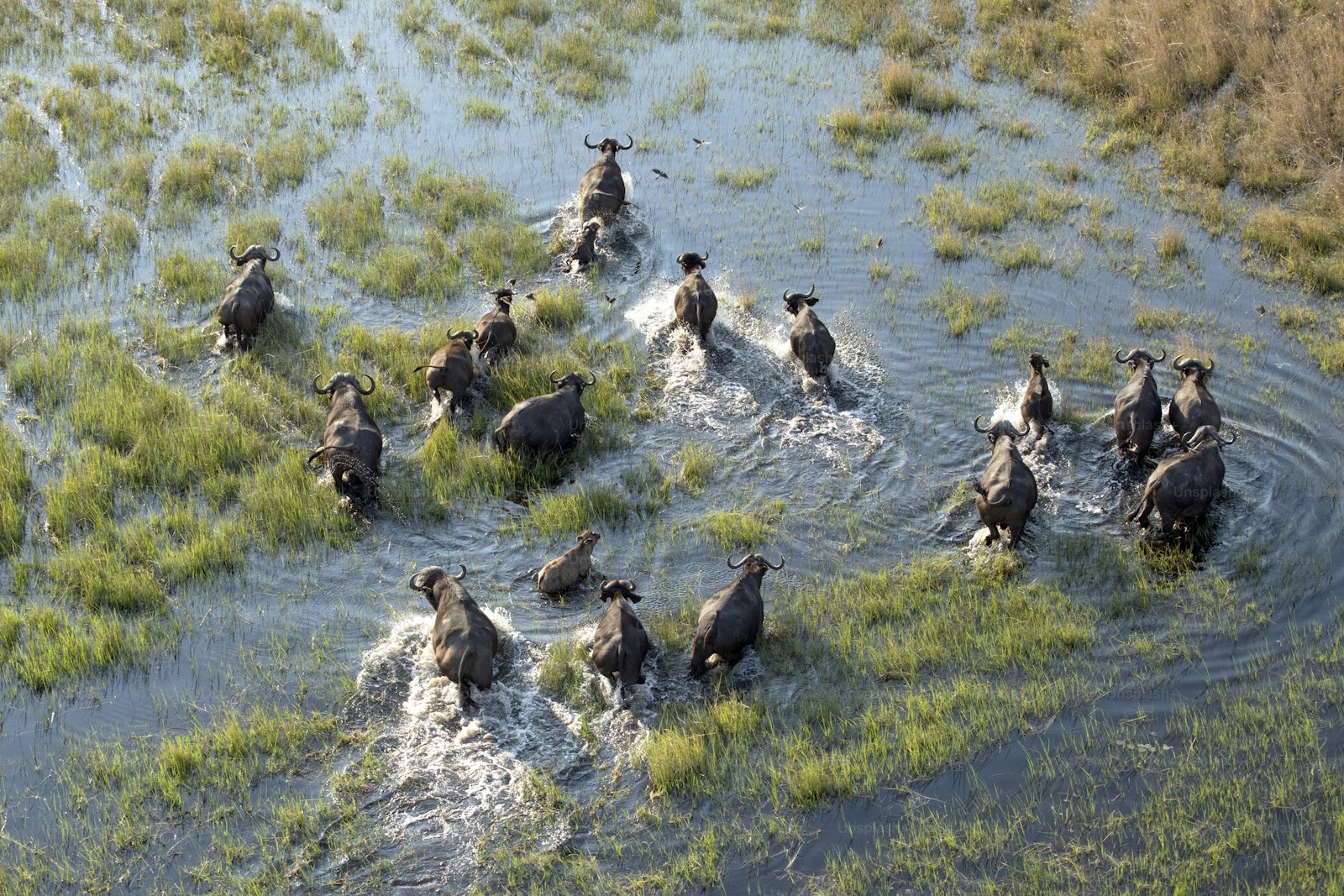 Okavango-Delta in Botswana