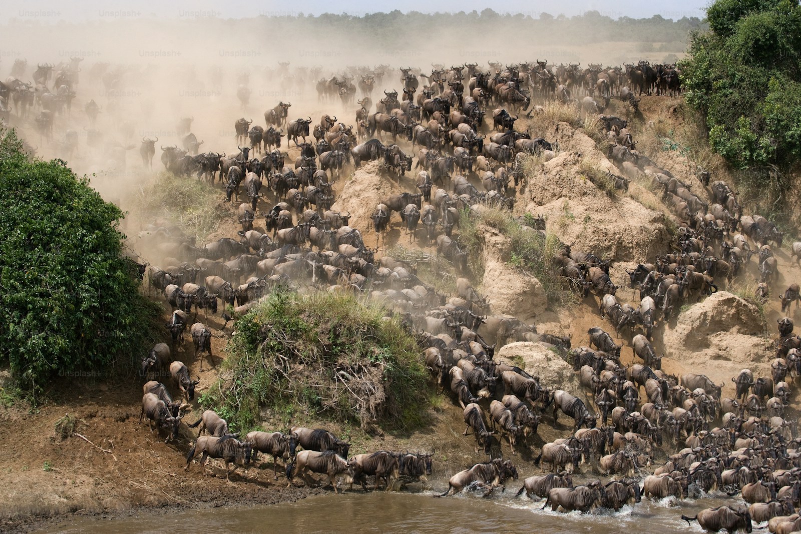 Serengeti Nationalpark in Tansania