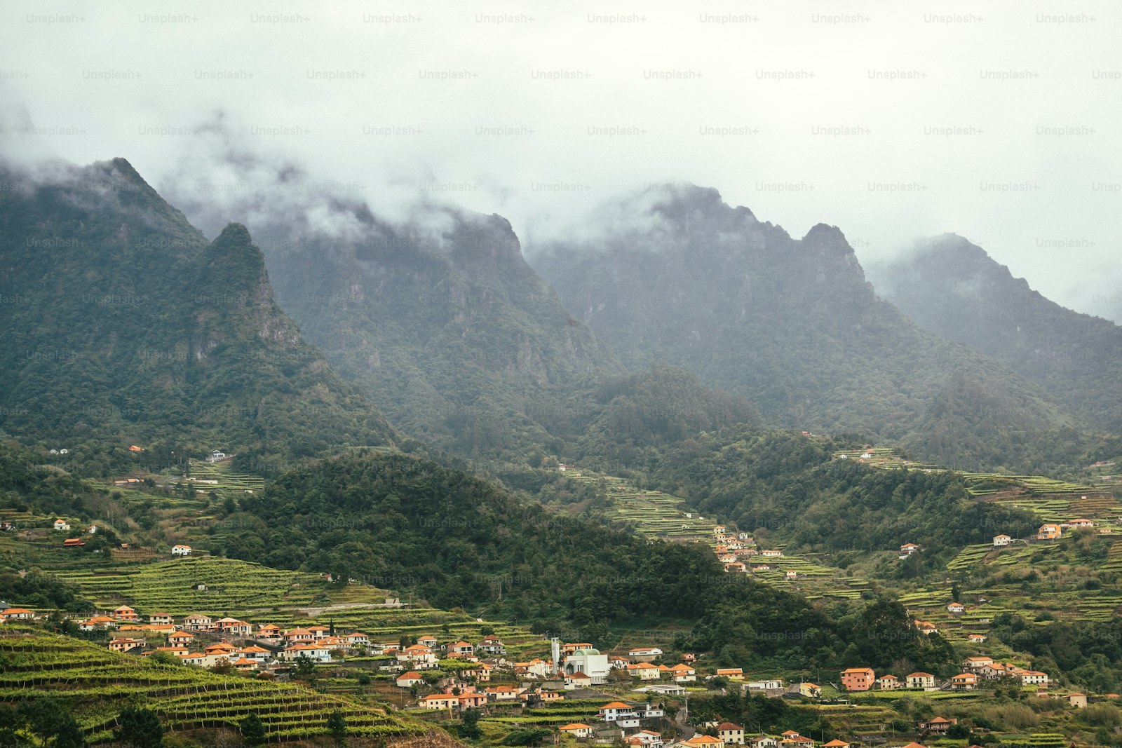 Vallée de Mai in Seychellen
